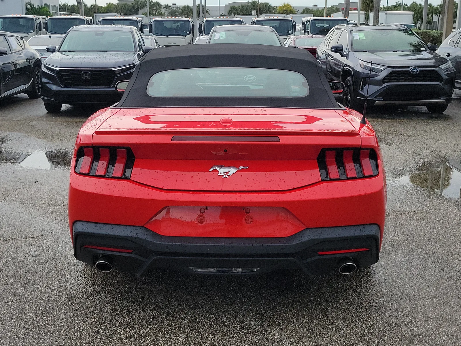 2024 Ford Mustang EcoBoost photo 4