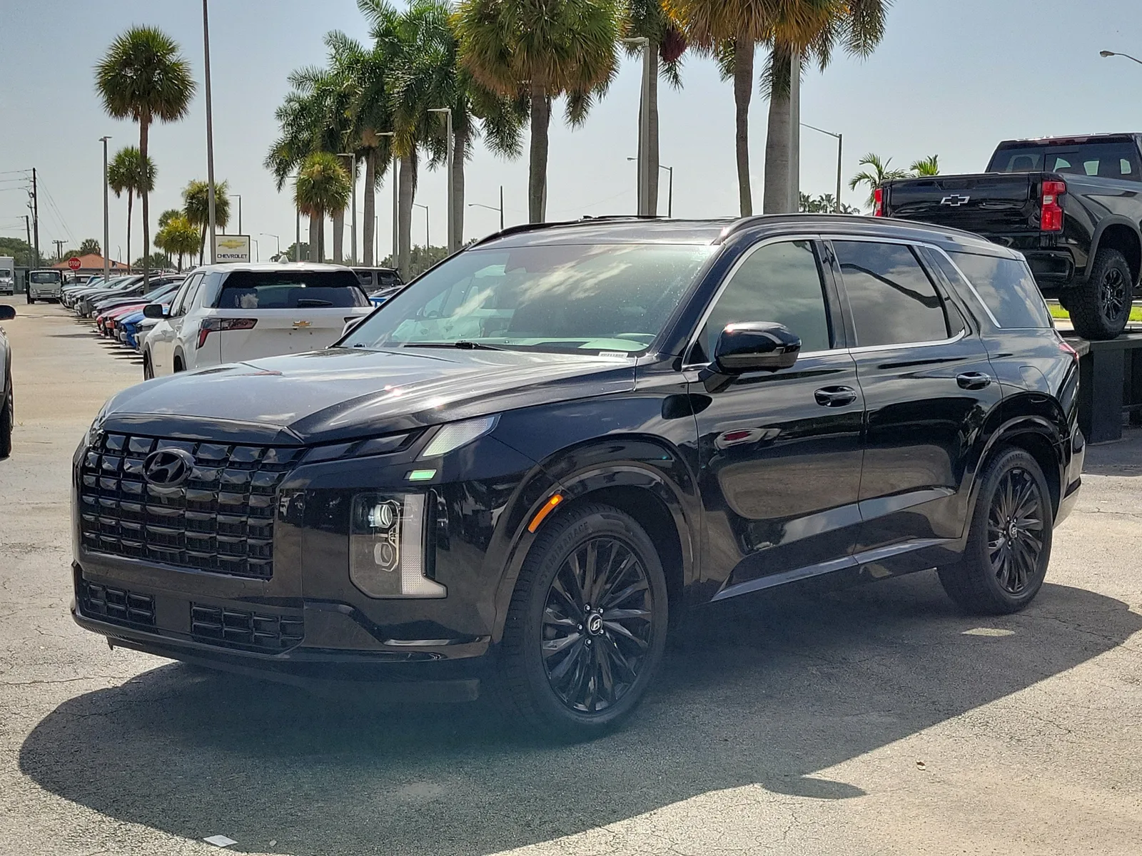 2024 Hyundai Palisade Calligraphy Night Edition photo 7