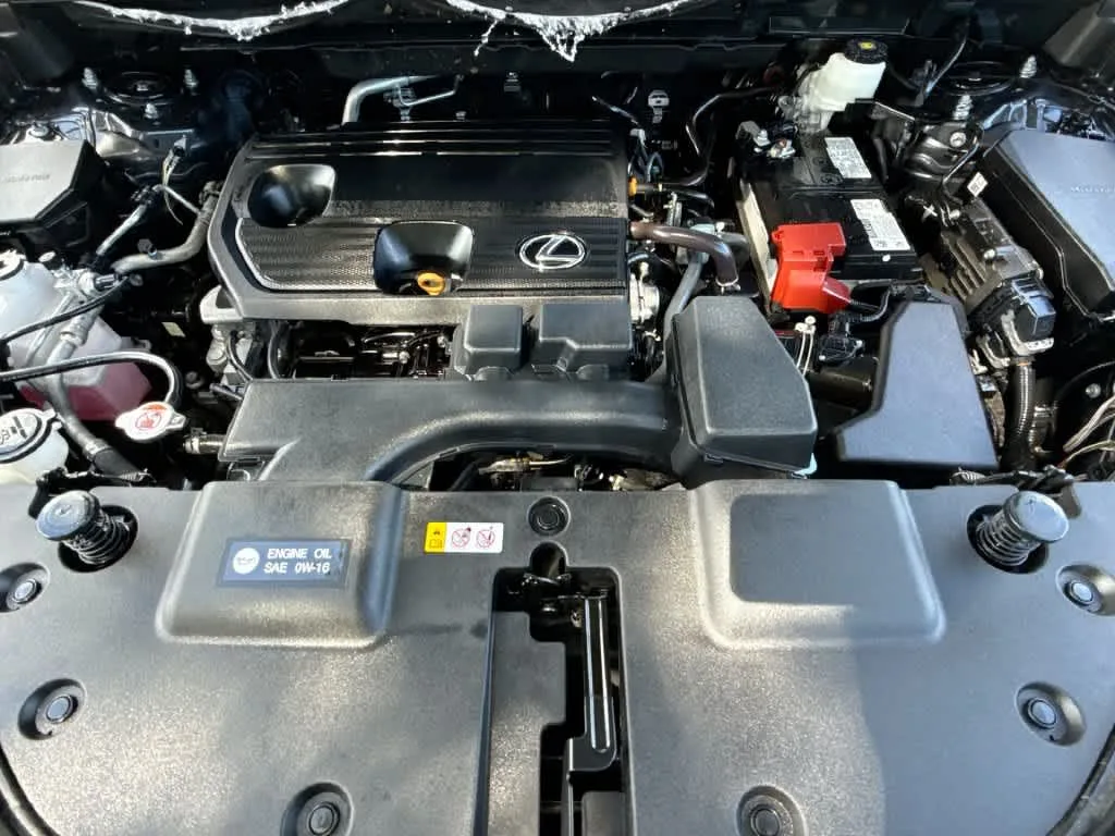 2024 Lexus NX 250 Premium photo 12