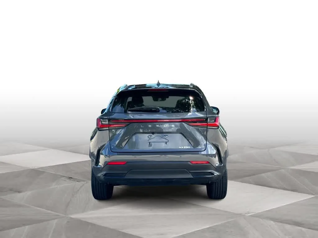 2024 Lexus NX 250 Premium photo 7