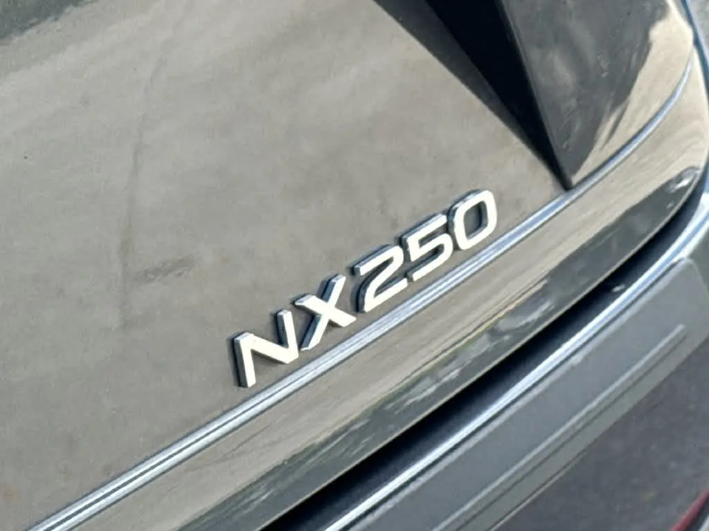 2024 Lexus NX 250 Premium photo 10