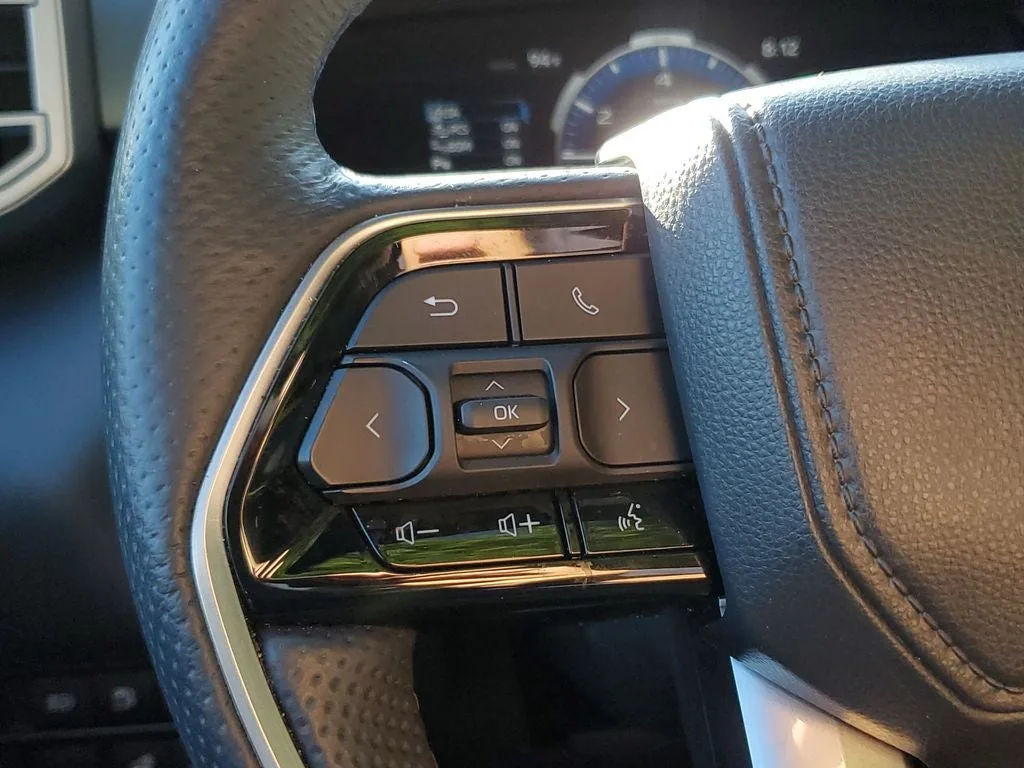 2025 Toyota Sequoia Platinum photo 19
