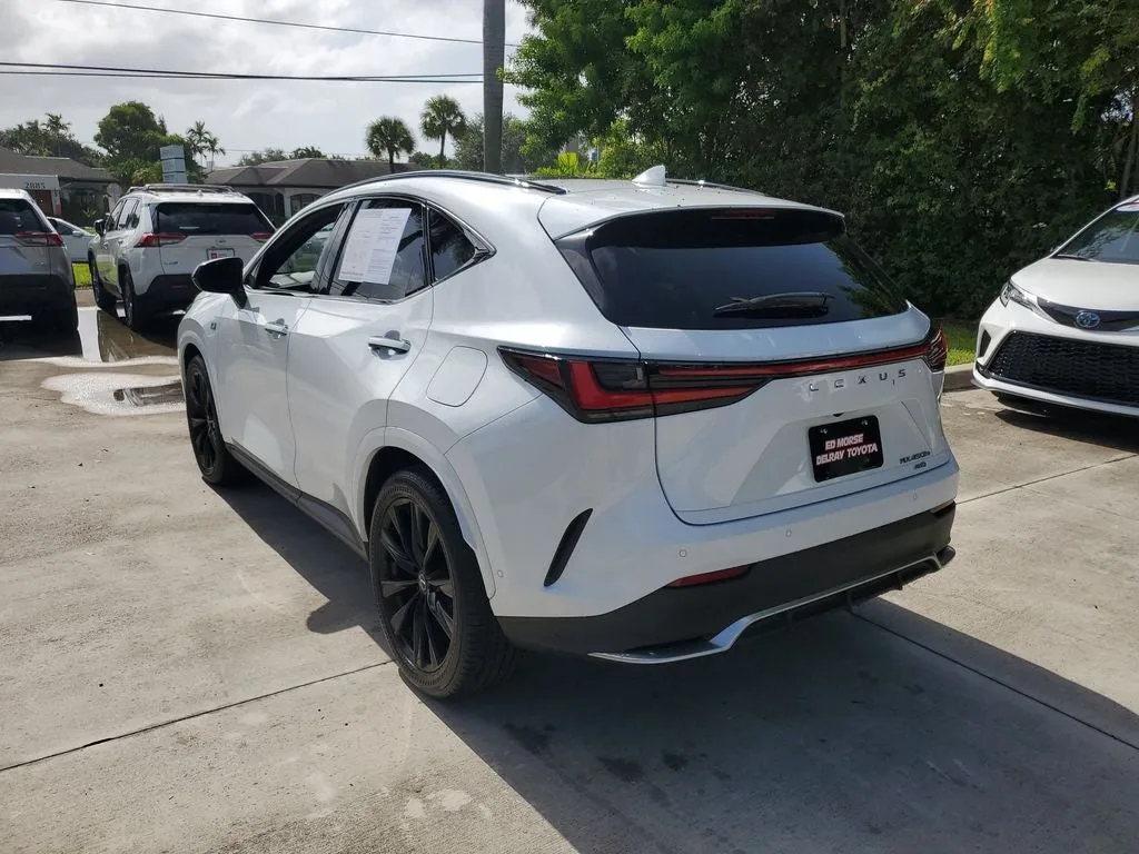 2025 Lexus NX 450h+ F SPORT photo 5