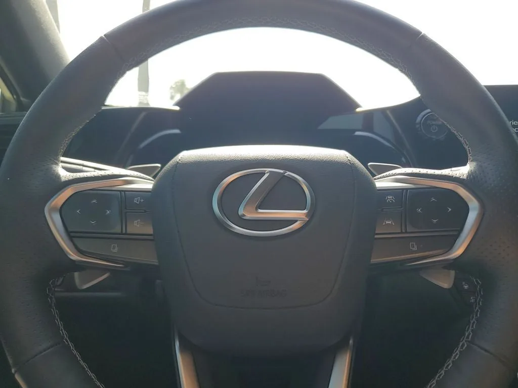 2025 Lexus NX 450h+ F SPORT photo 21