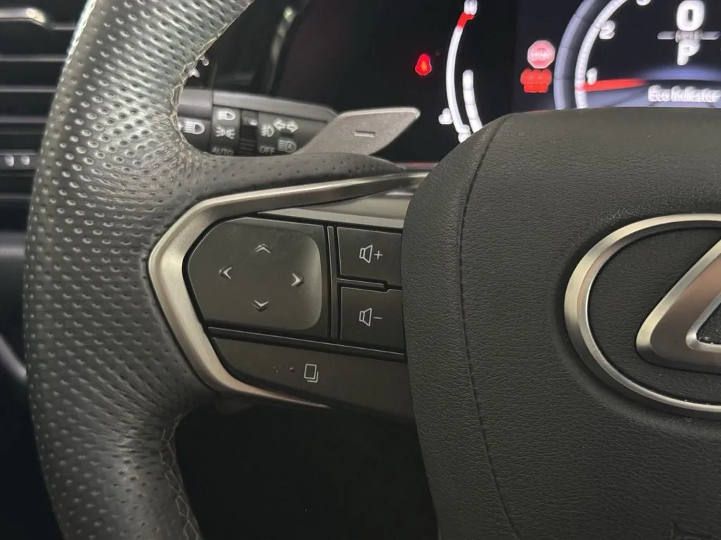 2024 Lexus NX 350 F SPORT Handling photo 25