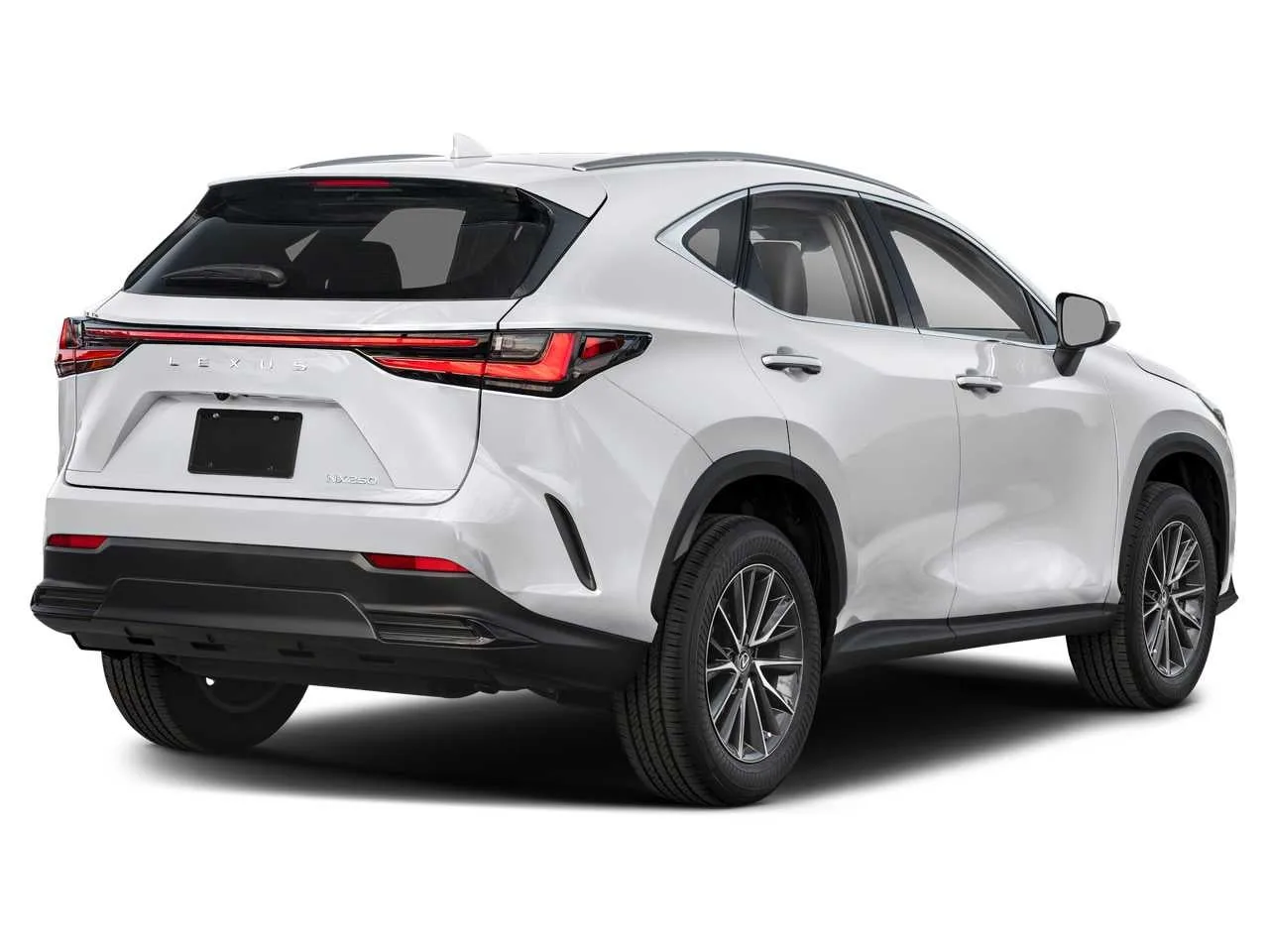2024 Lexus NX 250 photo 2