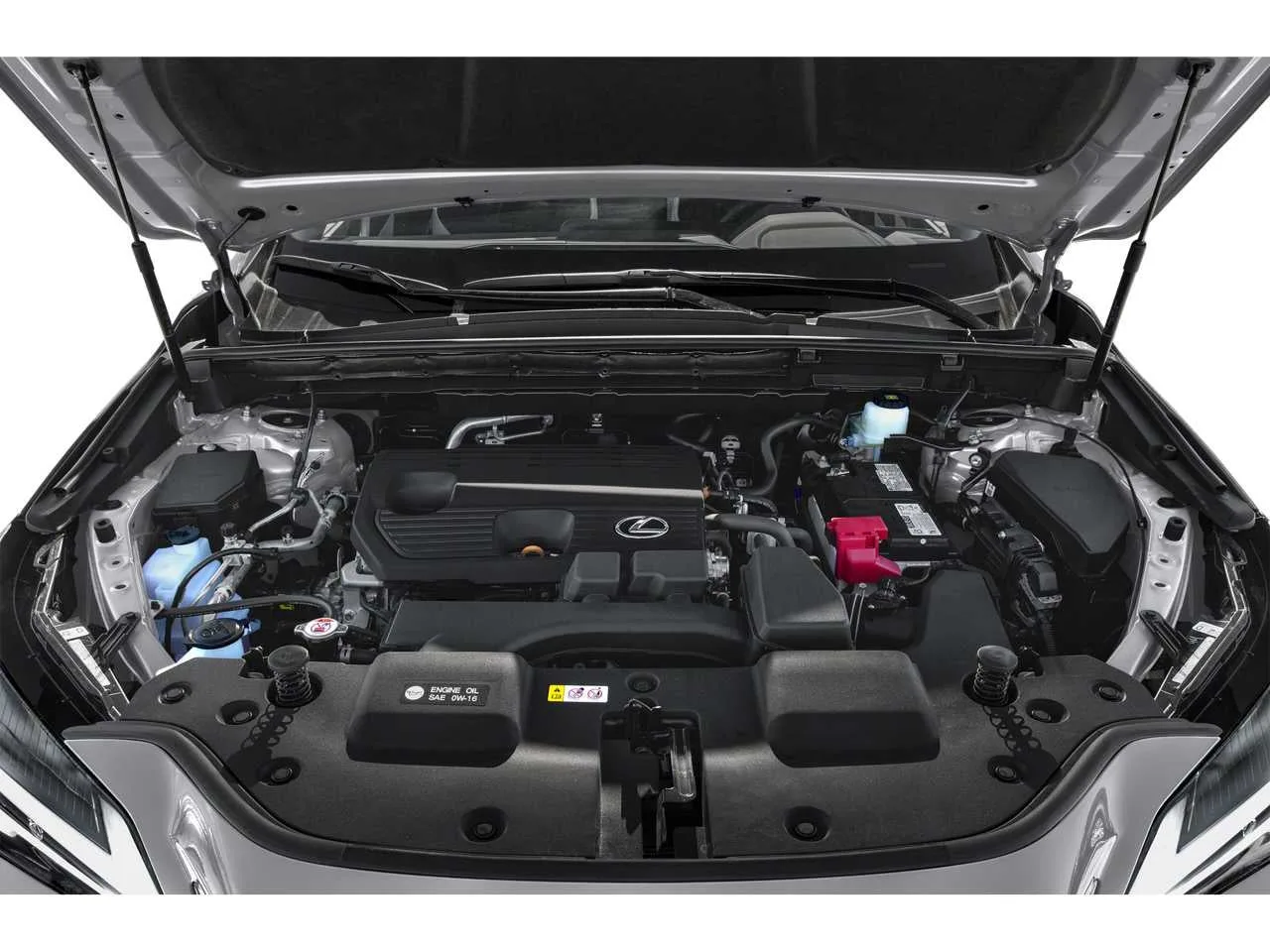 2024 Lexus NX 250 photo 8