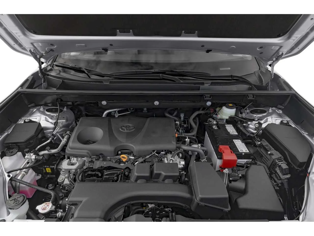 2025 Toyota RAV4 XLE photo 8