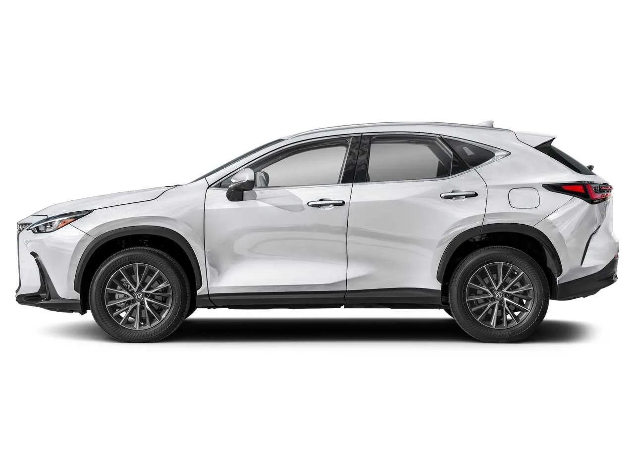 2024 Lexus NX 250 photo 3