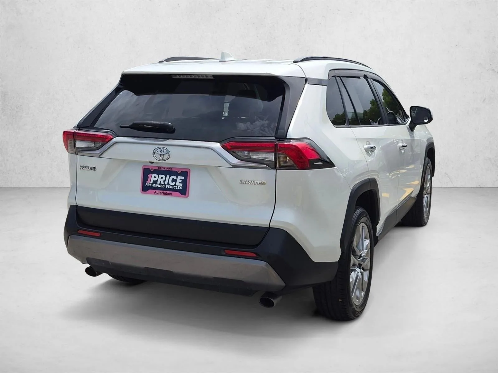2019 Toyota RAV4 Limited FWD (Natl) photo 5