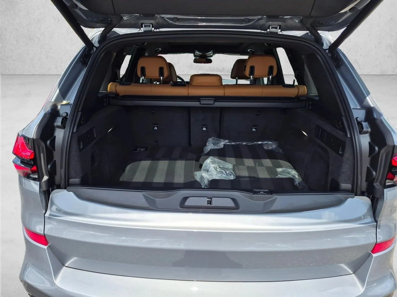 2025 BMW X5 M60i photo 6