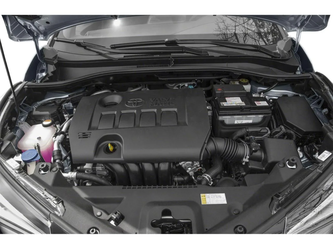 2018 Toyota C-HR XLE Premium FWD (Natl) photo 12