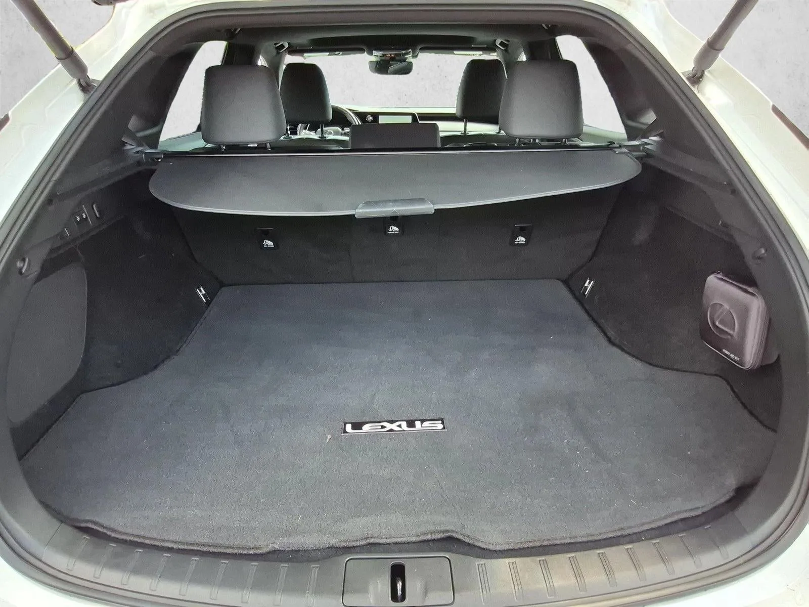 2023 Lexus RX 350 RX 350 photo 6