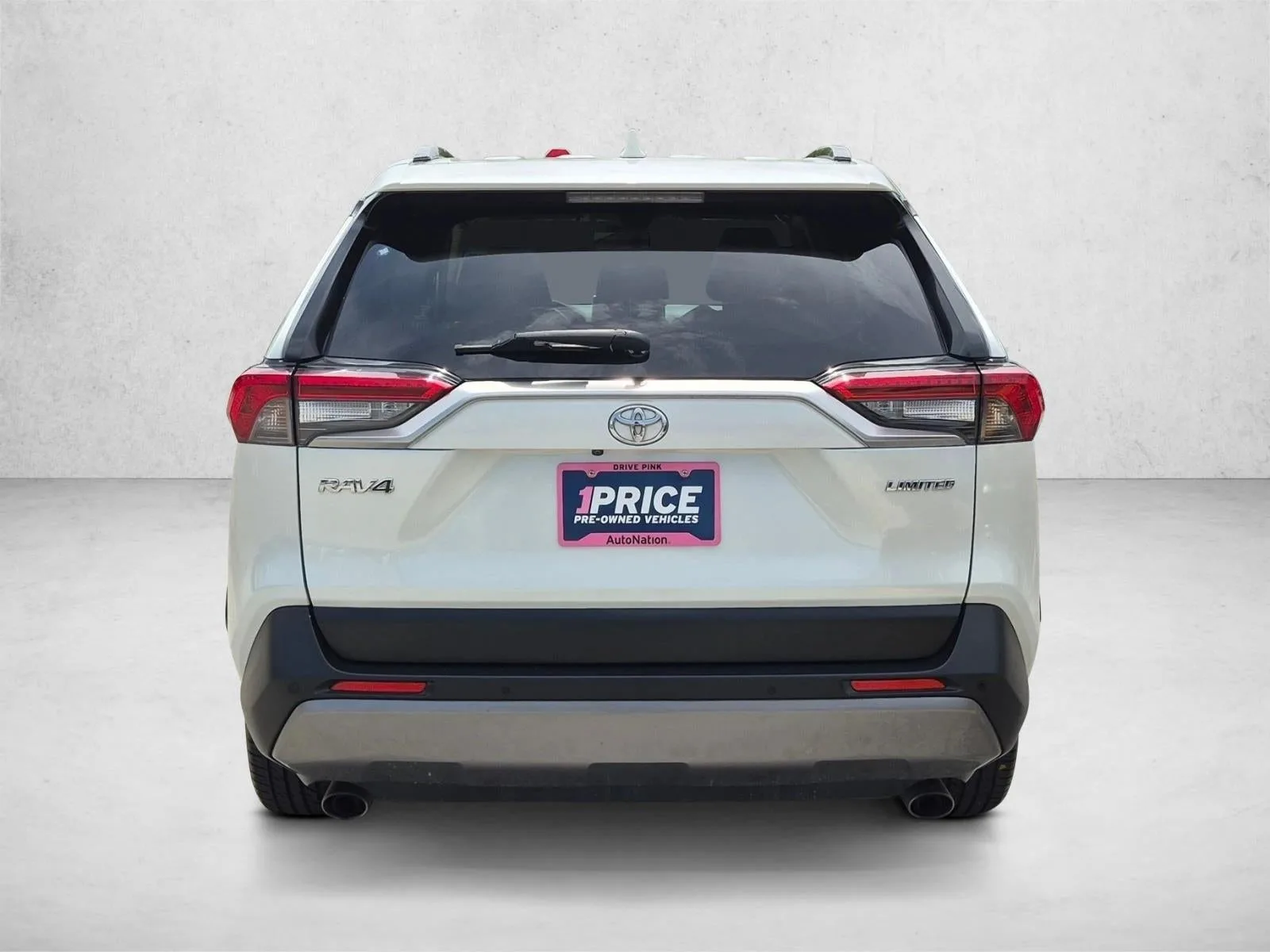 2019 Toyota RAV4 Limited FWD (Natl) photo 6