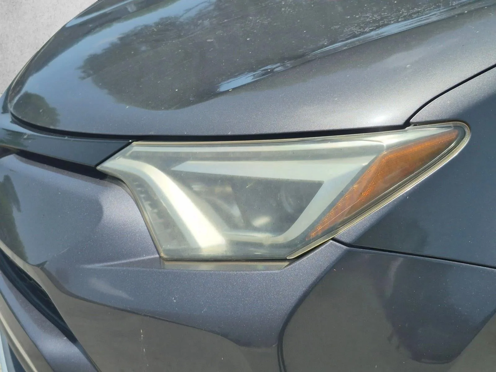 2016 Toyota RAV4 SE photo 4