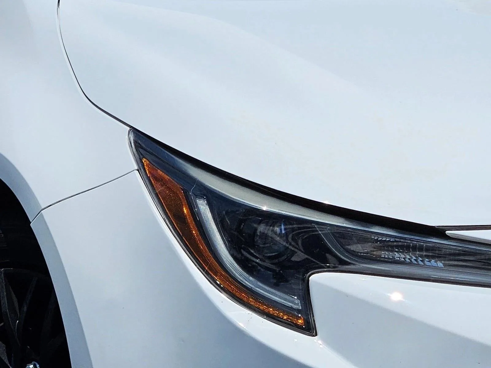 2021 Toyota Corolla LE CVT (Natl) photo 4