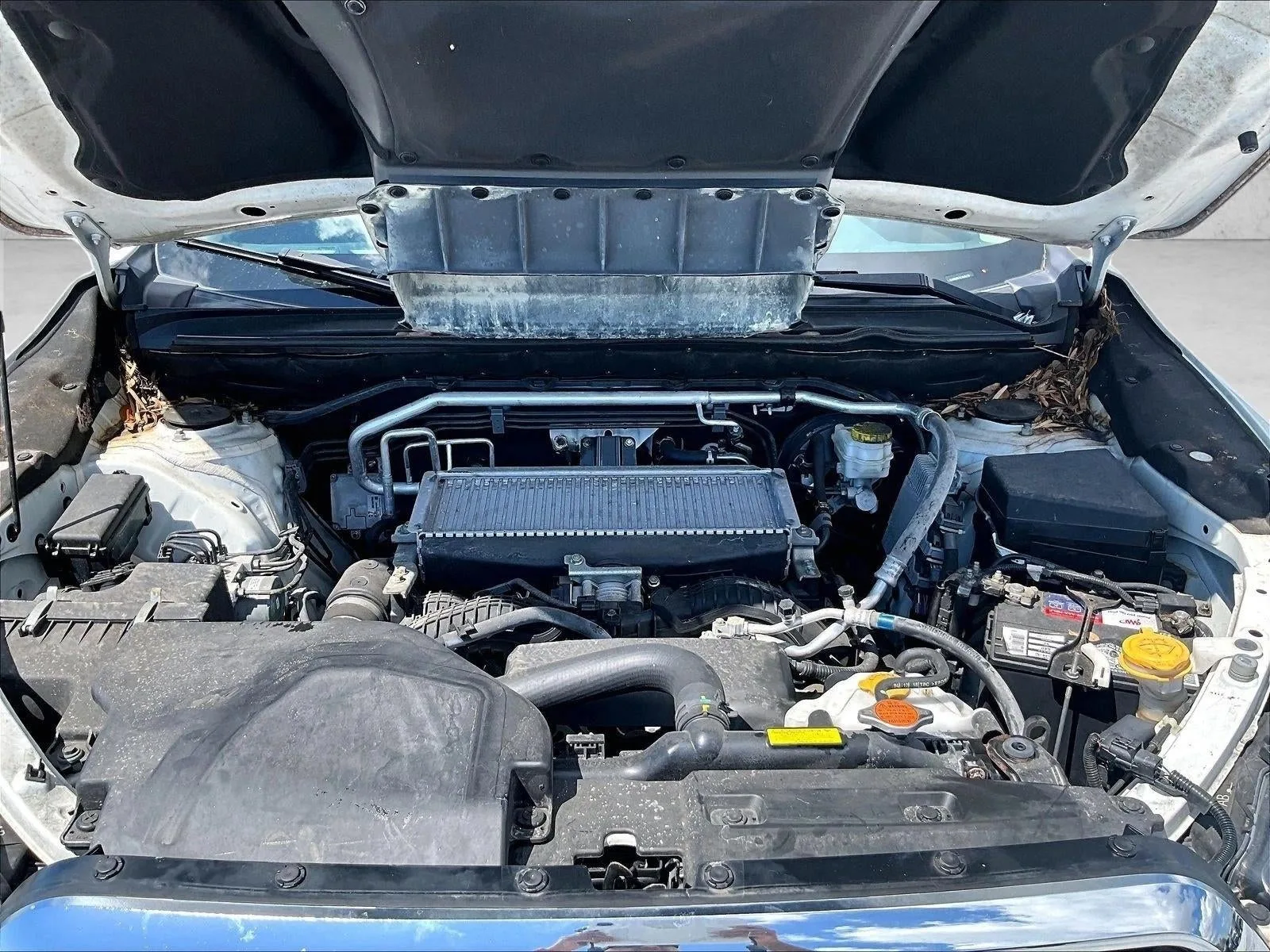 2019 Subaru Ascent Touring photo 11