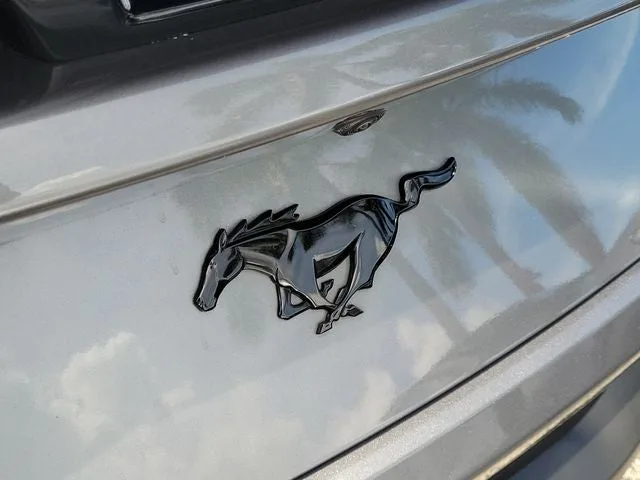 2024 Ford Mustang EcoBoost photo 6