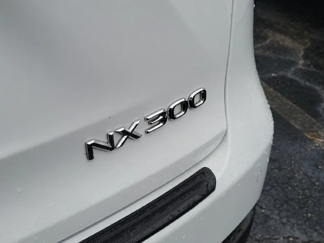 2021 Lexus NX 300 F Sport photo 5