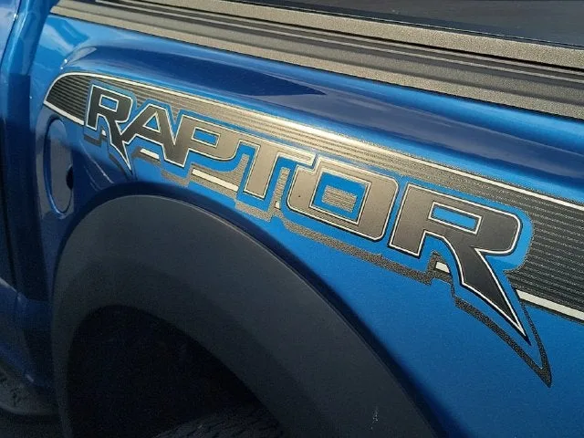 2019 Ford F-150 Raptor photo 8