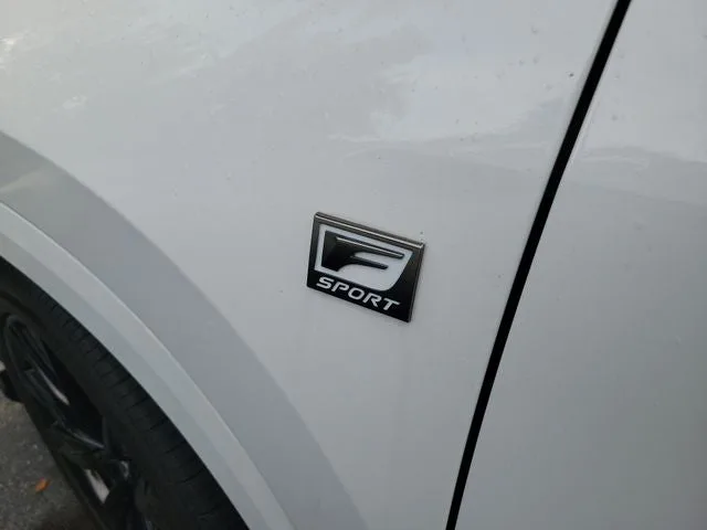 2024 Lexus NX 350 F SPORT Handling photo 8