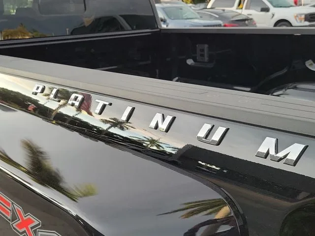 2026 Ford F-450SD Platinum DRW photo 5