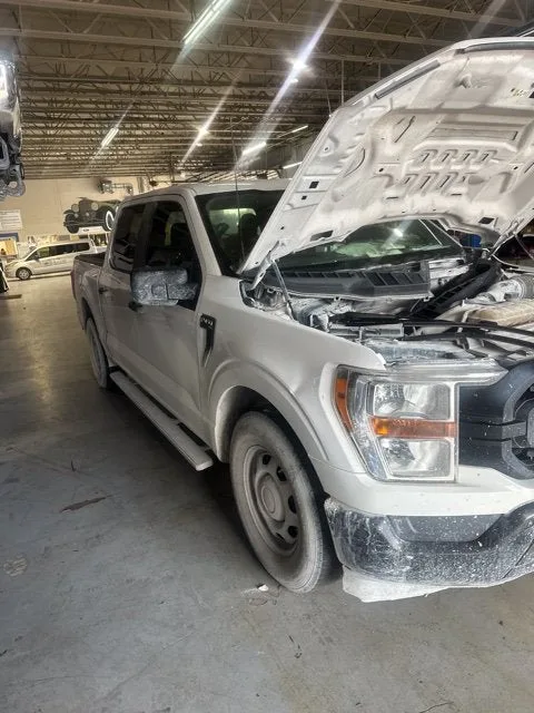 2021 Ford F-150 XL photo 5