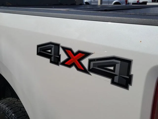 2018 Ford F-250SD Platinum photo 8