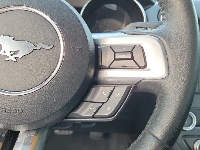 2019 Ford Mustang EcoBoost photo 19