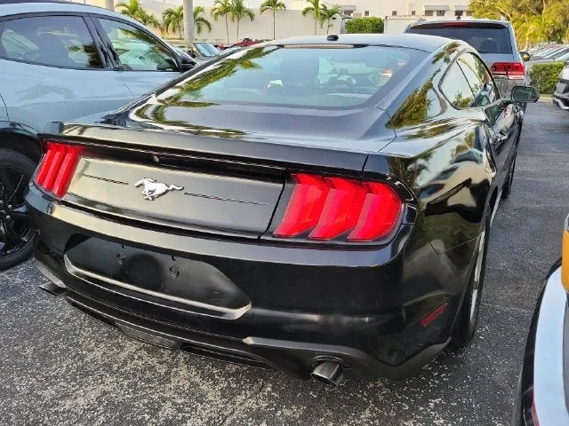 2019 Ford Mustang EcoBoost photo 3