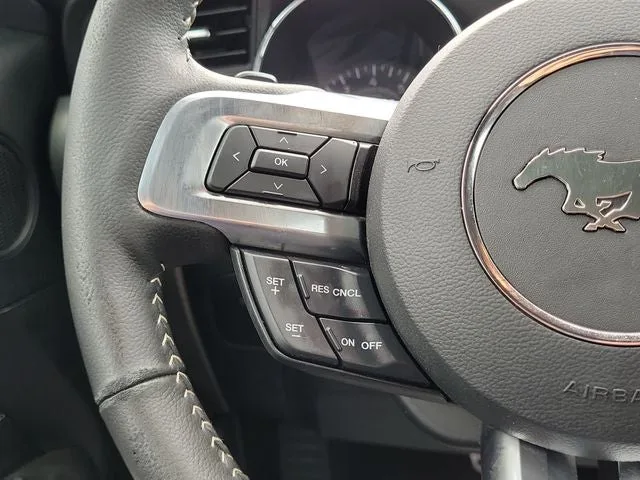 2015 Ford Mustang EcoBoost Premium photo 19