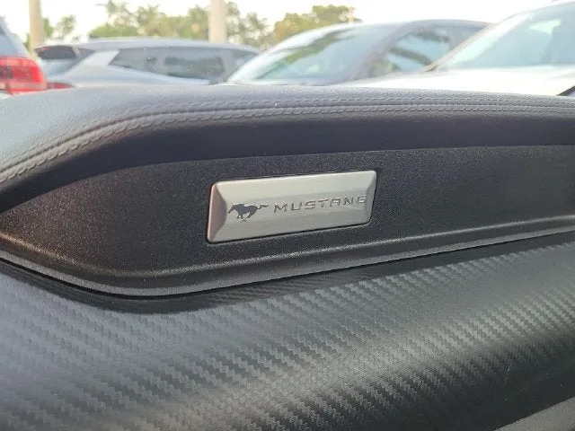 2019 Ford Mustang EcoBoost photo 26