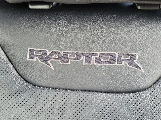 2020 Ford F-150 Raptor photo 38