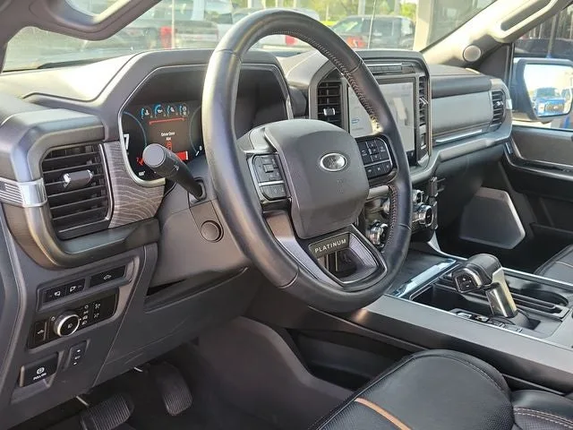 2023 Ford F-150 Platinum photo 10