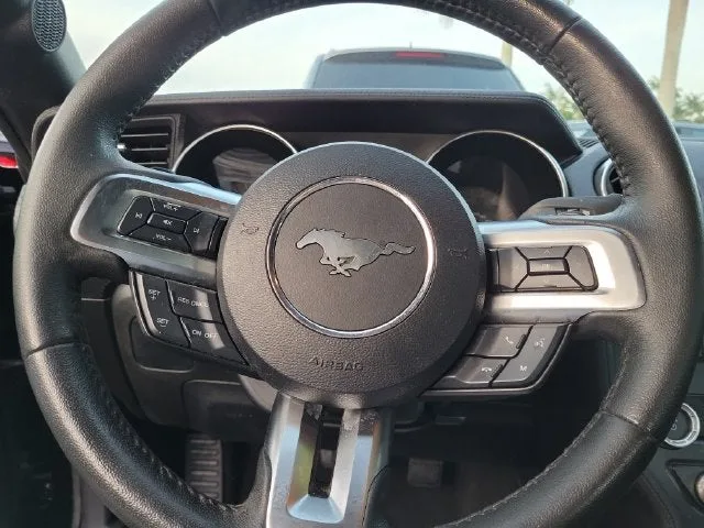 2019 Ford Mustang EcoBoost photo 17