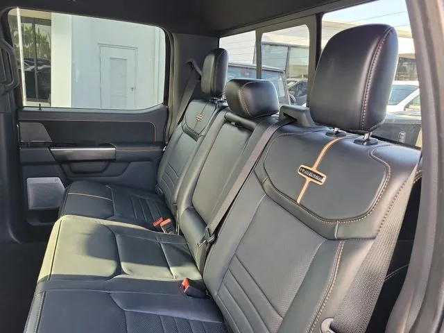 2023 Ford F-150 Platinum photo 13