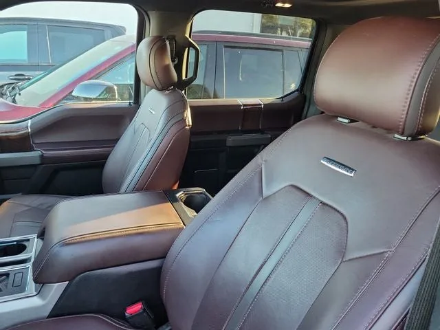 2016 Ford F-150 Platinum photo 11
