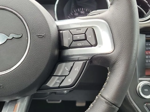 2015 Ford Mustang EcoBoost Premium photo 20