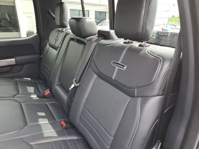 2024 Ford F-150 Platinum photo 10