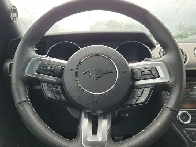 2015 Ford Mustang EcoBoost Premium photo 18