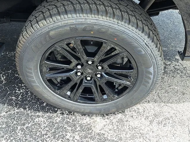 2024 Ford F-150 Platinum photo 5