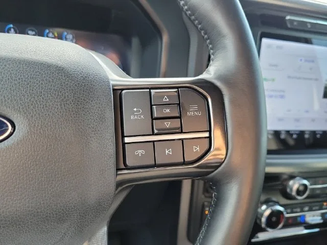 2025 Ford F-150 Platinum photo 25