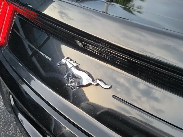 2022 Ford Mustang EcoBoost photo 5