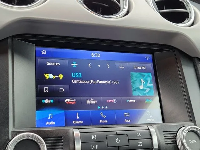 2021 Ford Mustang GT Premium photo 24