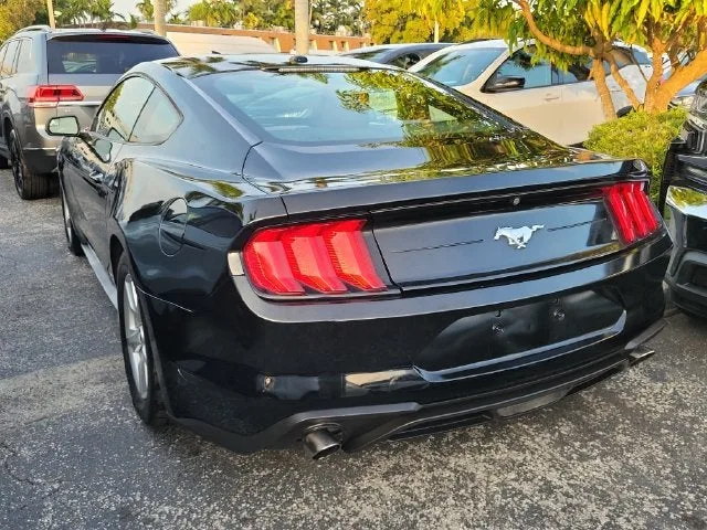 2019 Ford Mustang EcoBoost photo 4
