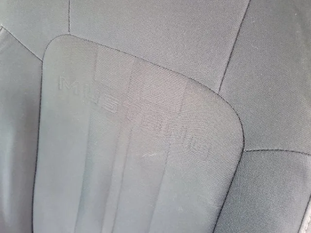 2019 Ford Mustang EcoBoost photo 11