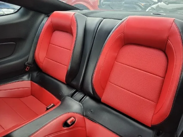 2020 Ford Mustang EcoBoost Premium photo 10