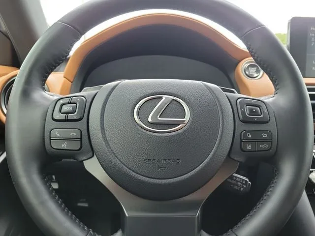 2025 Lexus IS 350 F SPORT Design photo 20