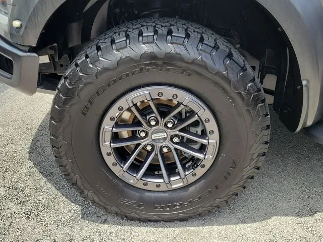 2020 Ford F-150 Raptor photo 9