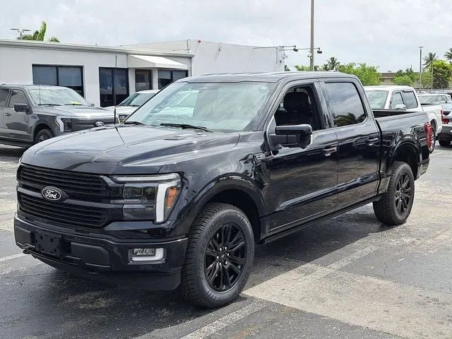 2024 Ford F-150 Platinum photo 23